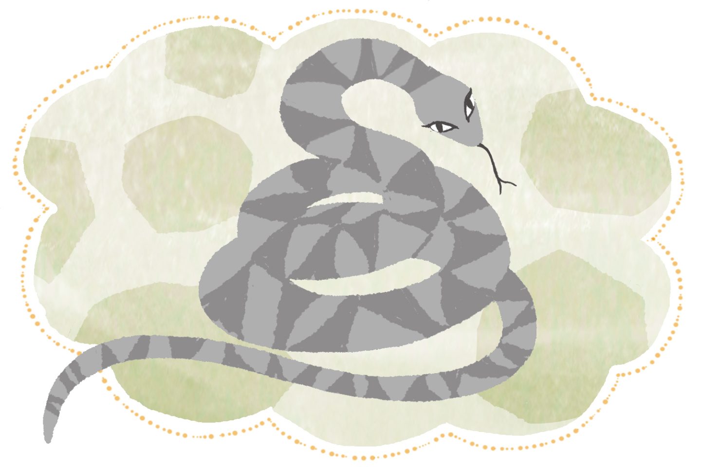 蛇の夢の意味！その蛇はどうした？どんな蛇？ 夢占い- zired