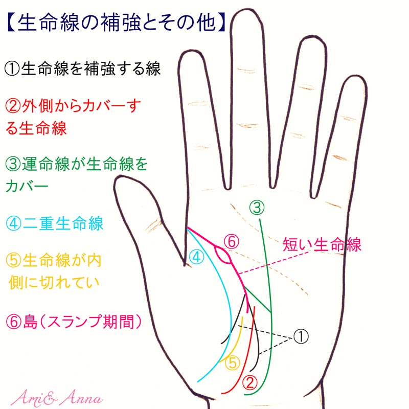 生命線は二股に分かれるとどうなるの？基本の意味や特徴別に手相の見方を詳しく解説！micane無料占い