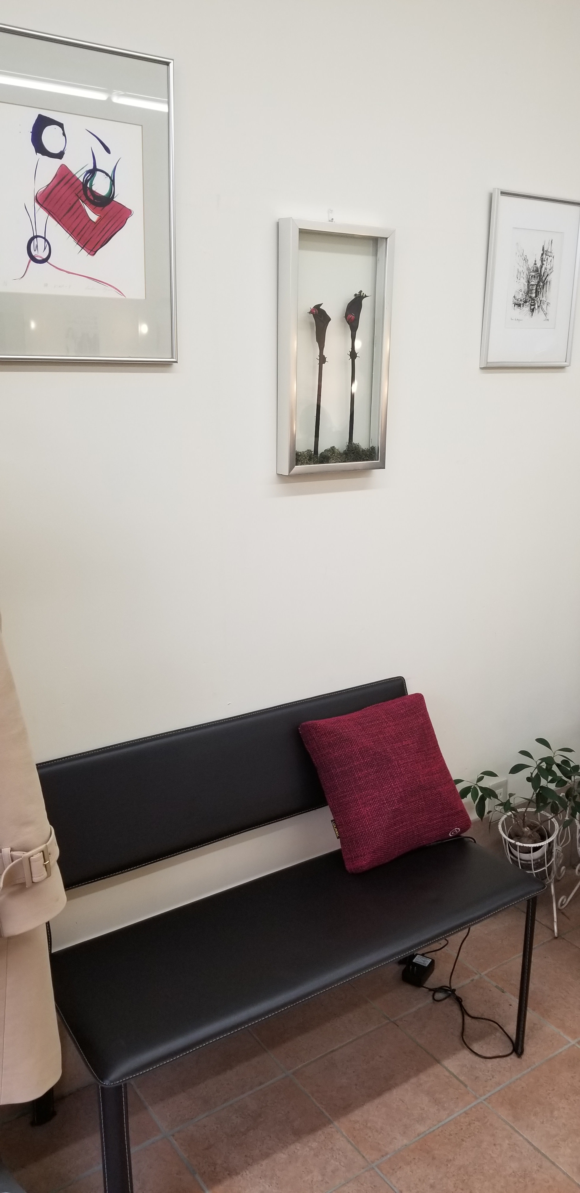 アーミッシュの暮らし Down to Earthアーミッシュ文化体験記