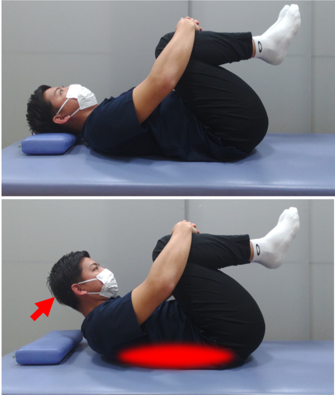 イラストでわかりやすいストレッチ大辞典鈴木 和孝