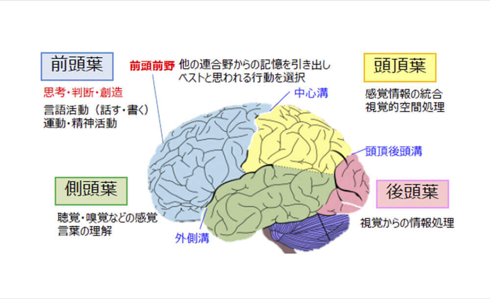 腰に手をあてる心理とは？威圧感と自信の境界線を男女・シーン別に深掘りQITANO ® 北野カラダづくりラボ