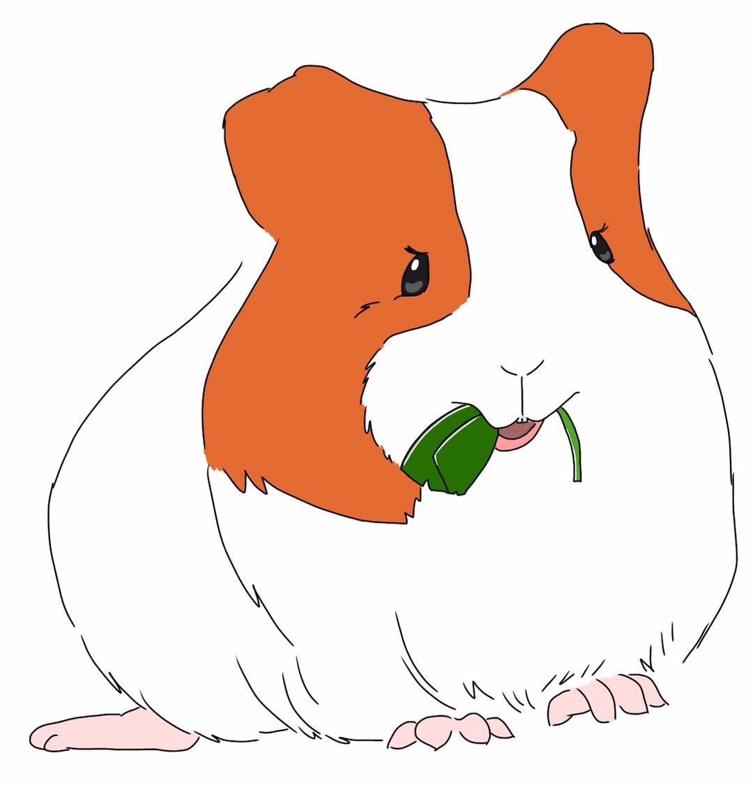 絞扼性イレウスとは？CT画像診断のポイントは