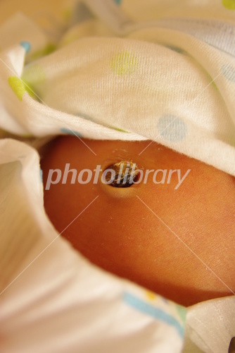 へその緒アクアスブログ島根県立しまね海洋館アクアス