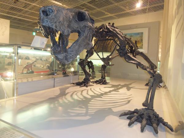 単弓類」の写真・イラスト素材アマナイメージズ