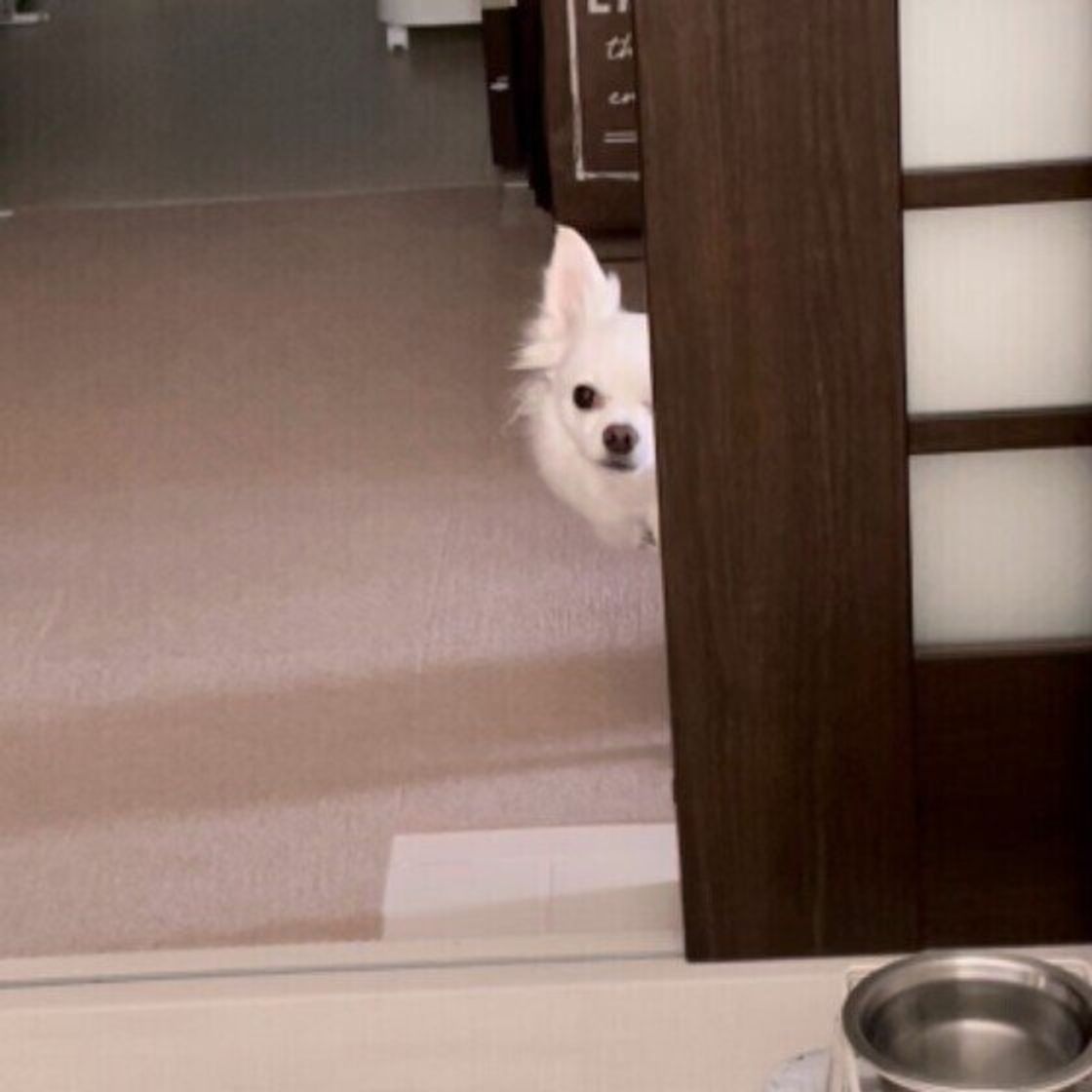 横浜流星＆飯豊まりえの意味深2ショット 映画『いなくなれ、群青』場面カットが解禁 - girlswalker