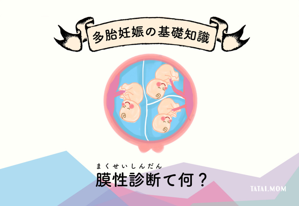 絨毛膜 là gì? Cách đọc, phiên âm & nghĩa của từ 絨毛膜