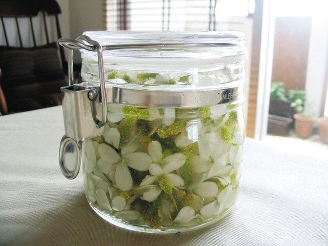 どくだみ化粧水の作り方