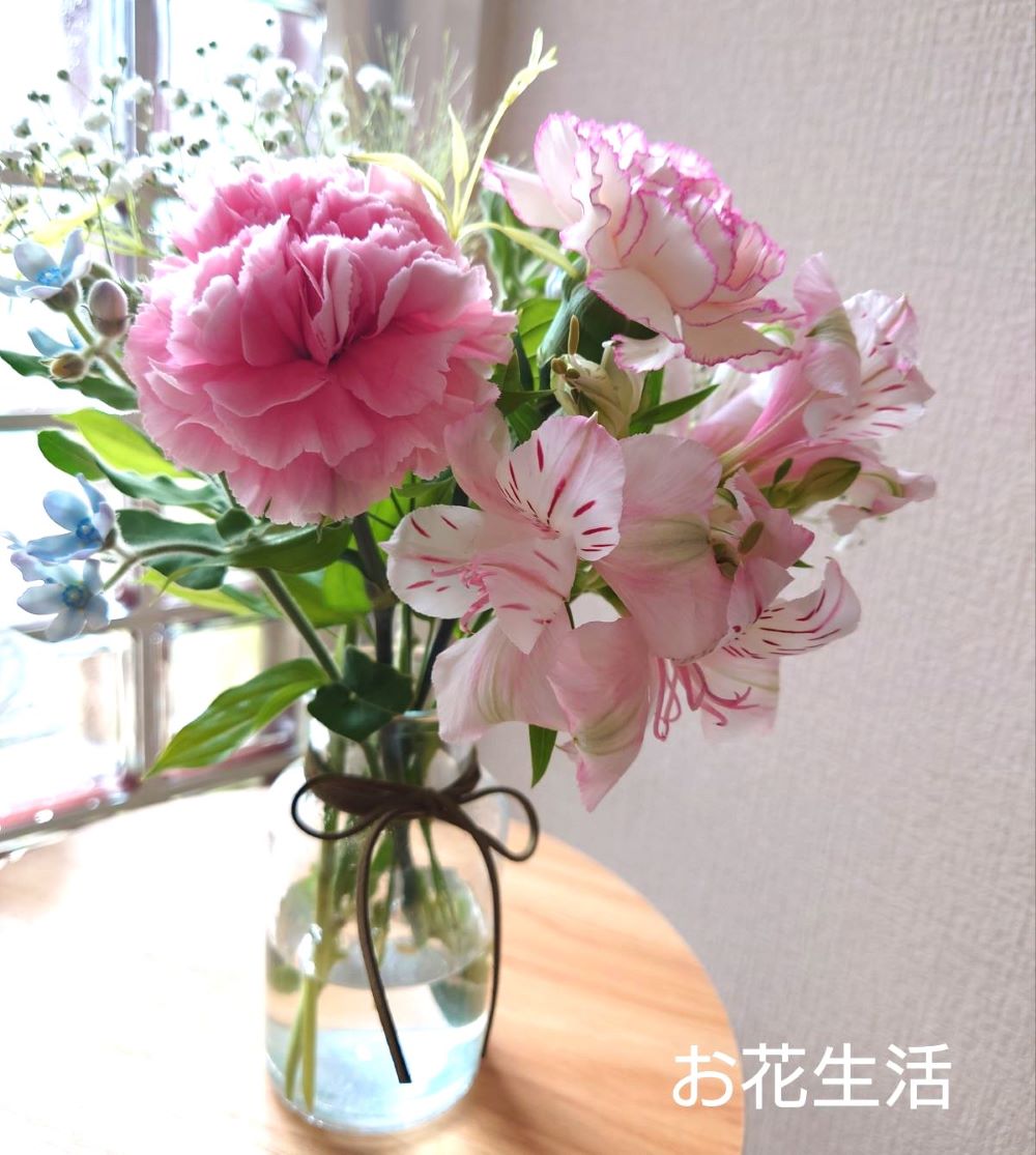 bloomee ブルーミー口コミ・評判！実際に使って分かったメリット・デメリット 花育- ともはなブログ