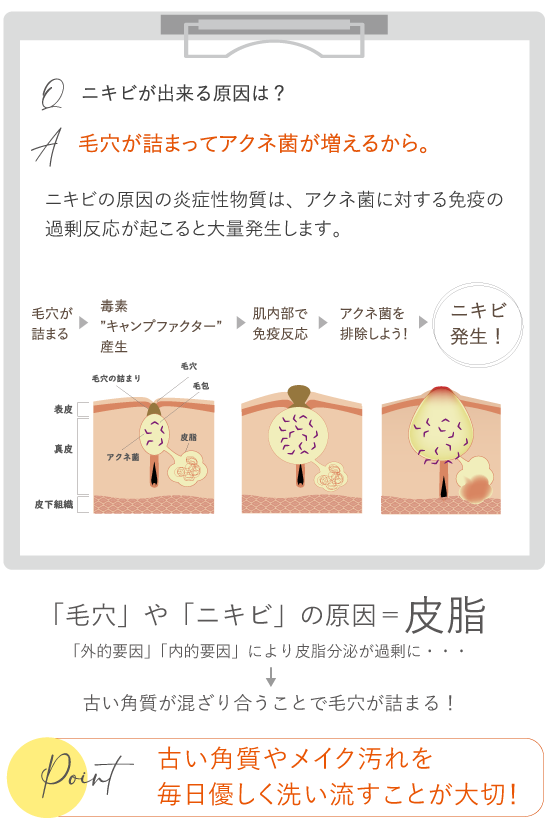 ピュアホワイトクレンジングジェル－イオン導入美顔器のスキンロジカル