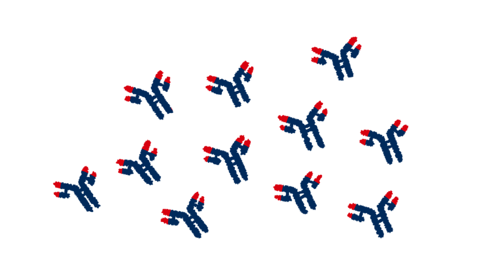 1,733 抗体 High Res Illustrations - Getty Images細胞, レセプター, Y