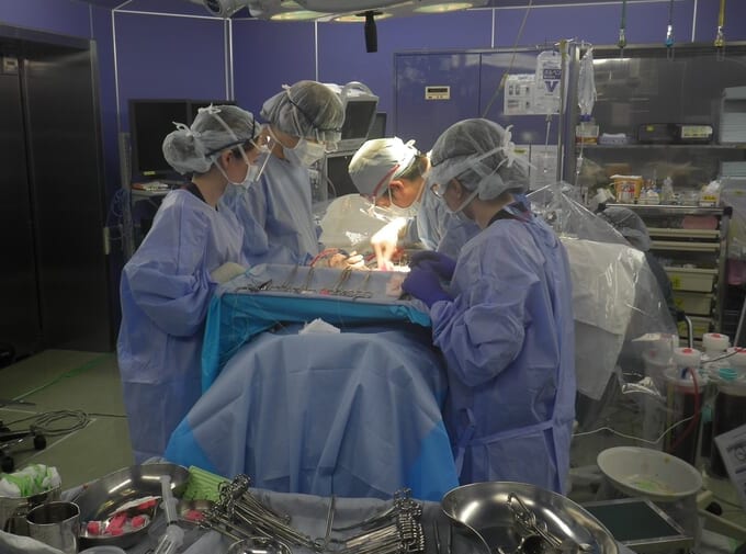 医療ドラマの監修で大切なことは？ 現役医師に聞く「フィクションとリアルのバランス感」なるほど！ジョブメドレ