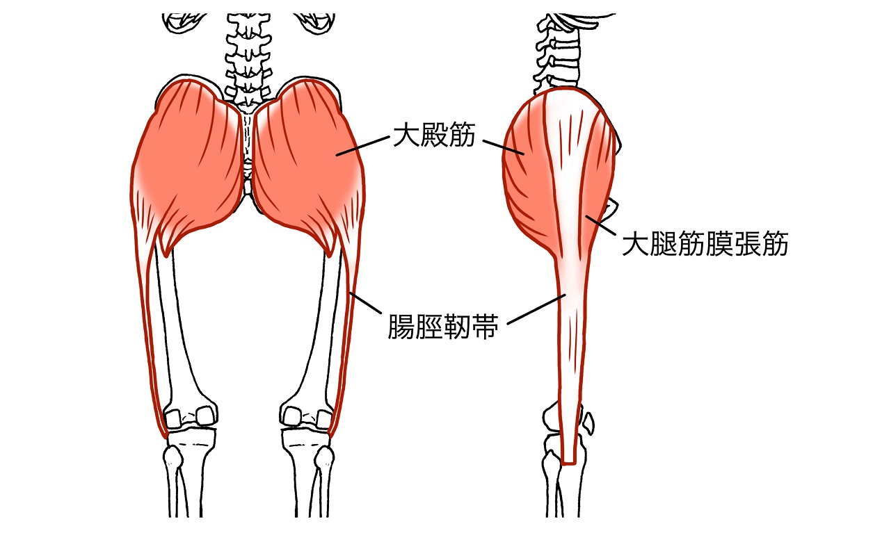 女性 手 画像 - Freepikで無料ダウンロード