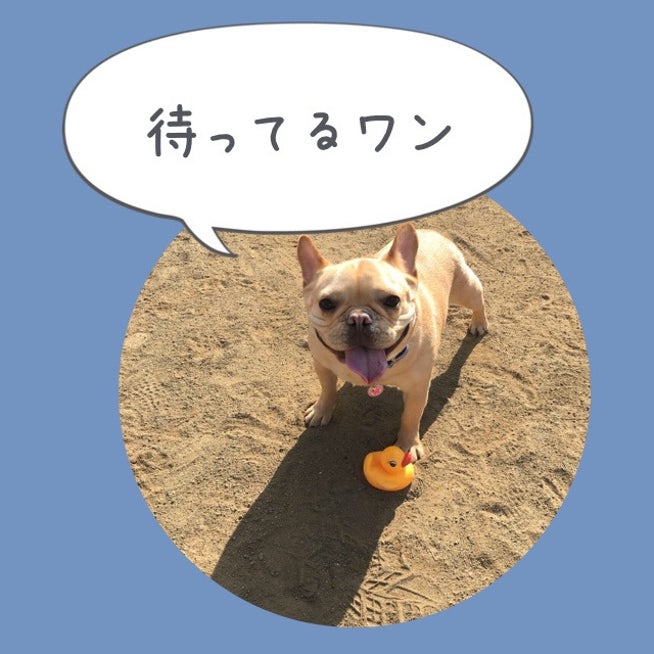 ほぐるん全身もみほぐし６０分３２８０円 練馬区のもみほぐし