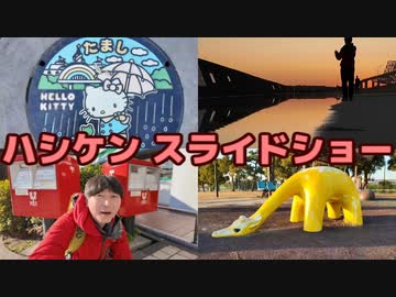 20130426-1 ハシケン 外配信 多摩湖周辺で新緑と野生タヌキ、ニワトリ1