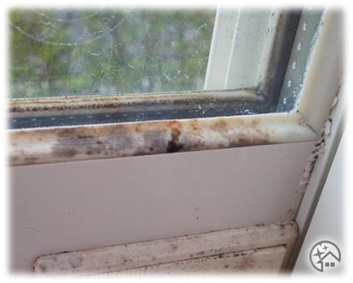 浴室ドアのゴムパッキン」の頑固な黒カビをごっそり取る方法 知って得する掃除術