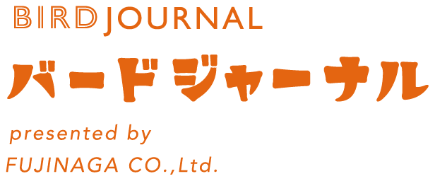 巣作り本能 赤ちゃんを迎える準備 はしもと産婦人科