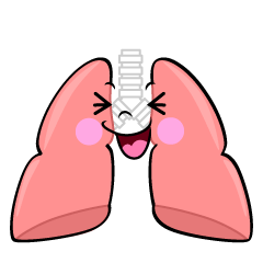 心臓と肺の位置がわかるイラスト※着色あり🎨 フリー素材 看護roo! カンゴルー