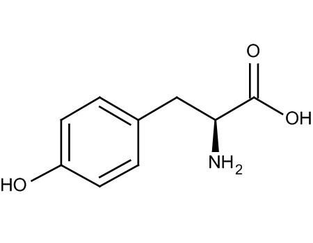 リン 酸 化 シ グ ナ ル ハン ド ブ ッ ク 第 ２ 版