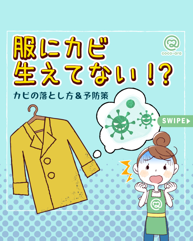 服の白カビを綺麗に取る！カビが発生する原因や予防方法も解説Sparkle Clean宅配クリーニングの総合