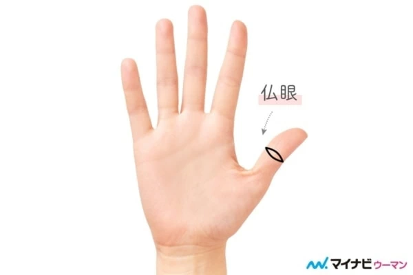 手相 お金が溜まる人、無くなる人 太陽線ウラスピナビ