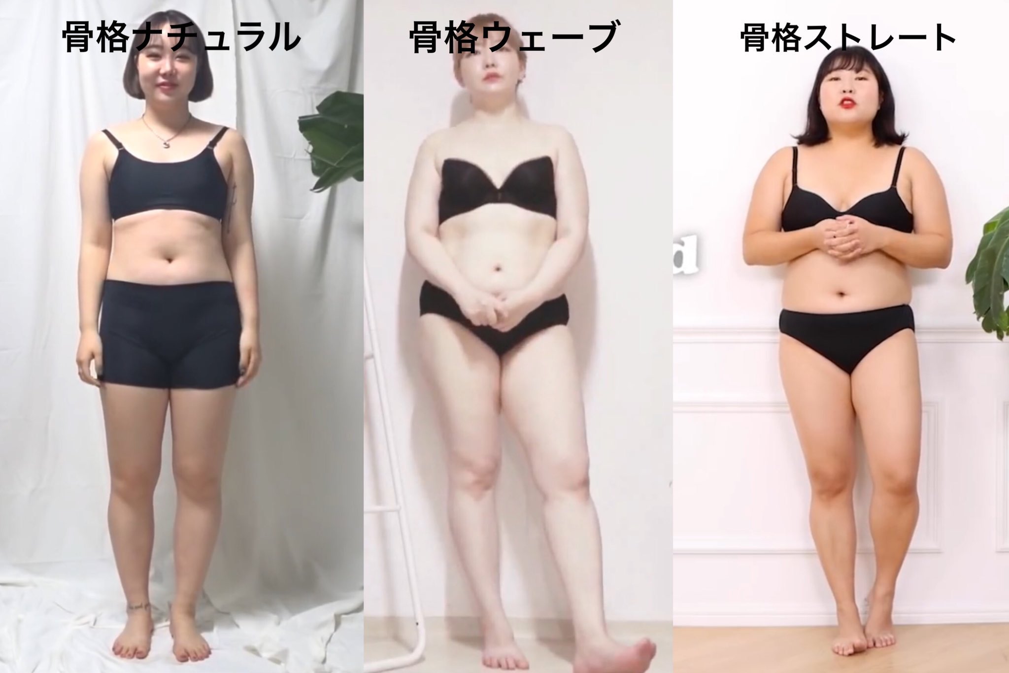 ぽっちゃりさん必見！骨格 診断から選ぶ、自分にピッタリな体型カバーアイテム判断 公式 大きいサイズ・ぽっちゃりさん向けのレディースファッションブランドRe-J リジェイ supure スプル