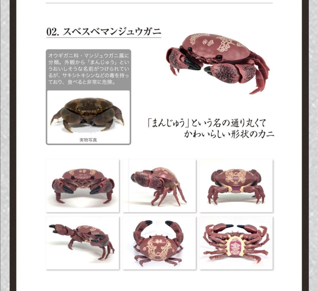 毒ある「スベスベマンジュウガニ」の総選挙 和歌山 - 産経ニュース