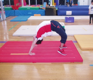 たちブリッジにちょうせんいろんなブリッジの冒険子供の学習サイト「おやこやクエスト」