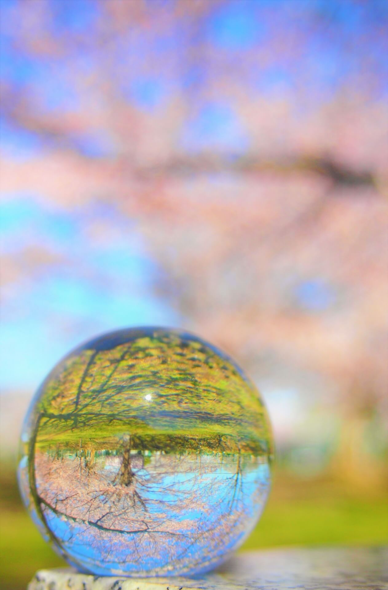 金運・健康運UP！運気が上がる待ち受けと風呂釜洗浄の相乗効果プロが語る！そうじ屋くまの「汚れの裏側」