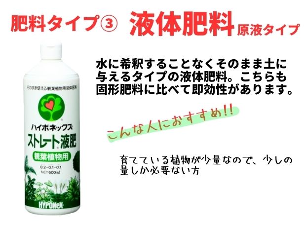 ウンベラータの植え替えの方法！時期と失敗しない方法は？土や肥料は何を用意すべき