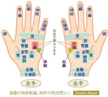 左手 痛い ツボTikTok