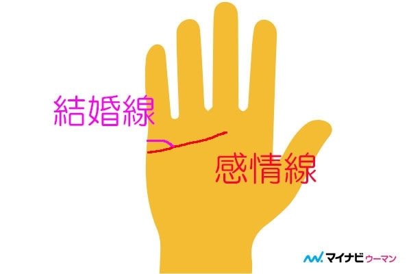 パートナーと別れるサイン？結婚線が二股に分かれた手相の意味すること-手相占い無料占いcoemi コエミ