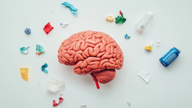 オーシャンスイープ協会ぼくらの海をプラごみ汚染から守ろう