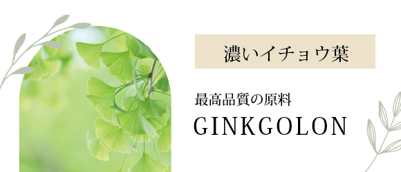 健康茶 通販銀杏葉茶 100gイチョウ の効能 健康茶・ハーブティー・緑茶・茶葉の専門通販 茶卸総本舗
