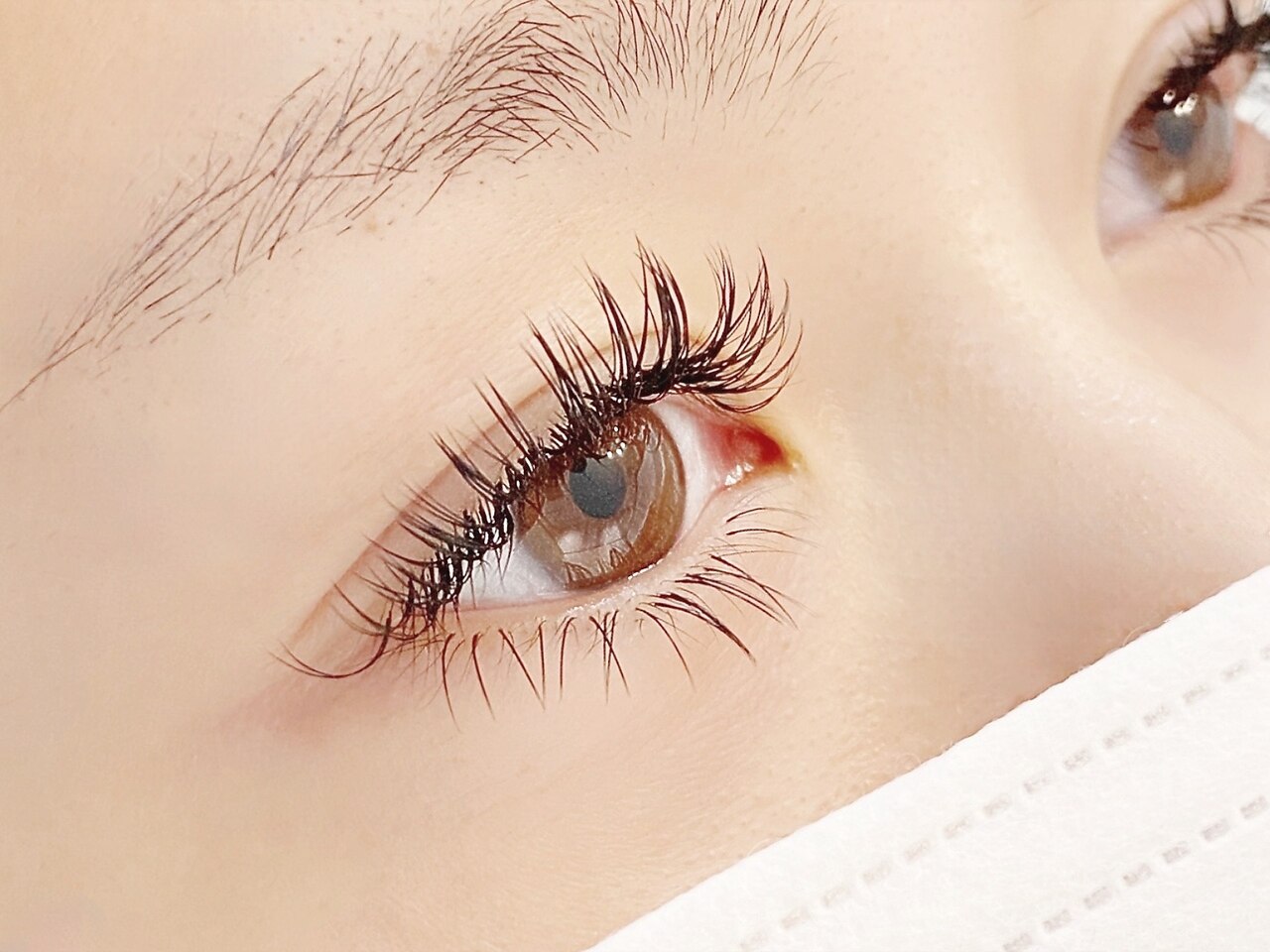 下まつげのマツエクとは？メリットデメリットやデザインのポイント紹介岡山市北区のマツエク・エステサロンsalon de Premage サロン ドプレマージュ