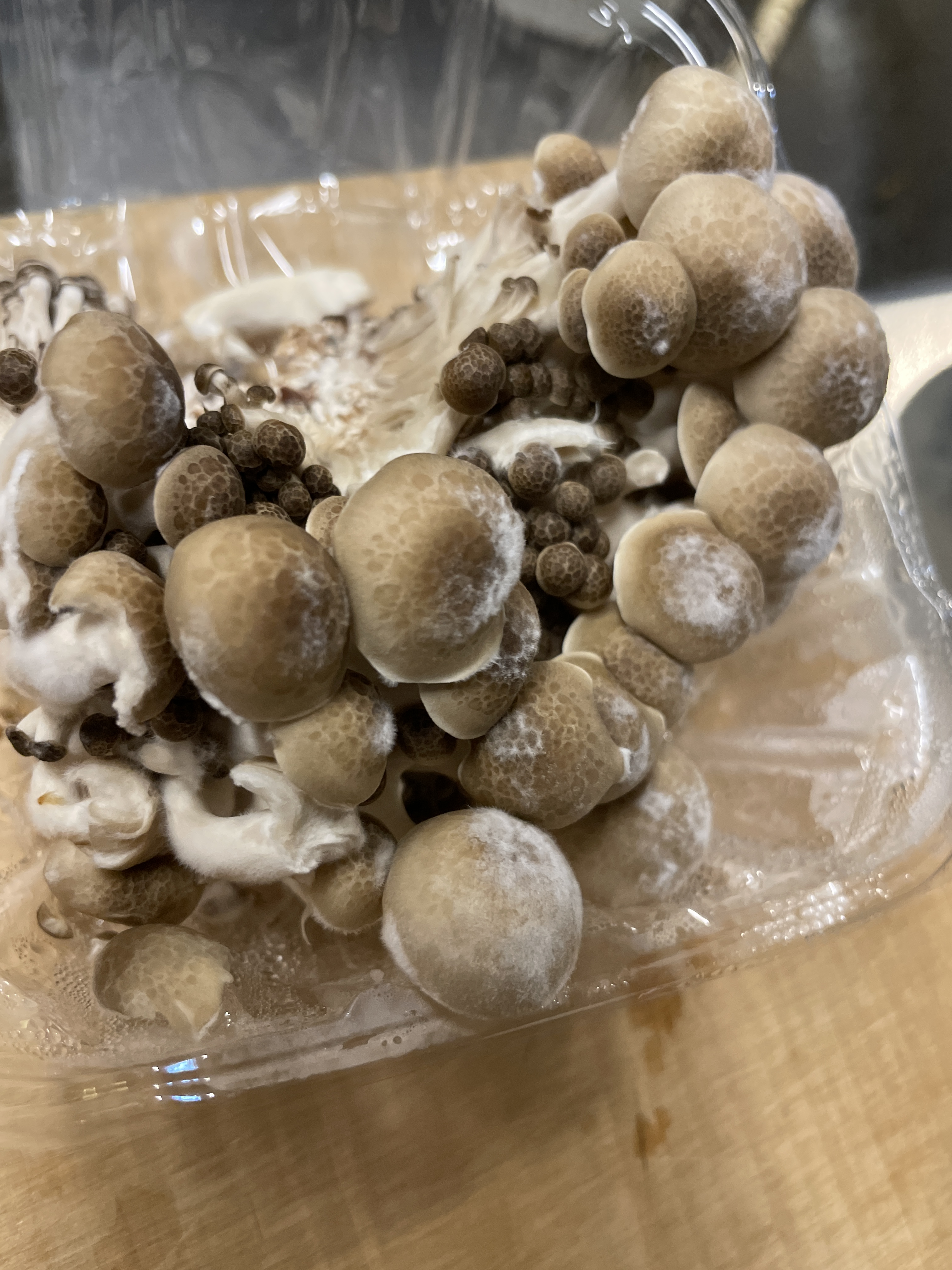 カブとマッシュルームのアーリオオーリオ風