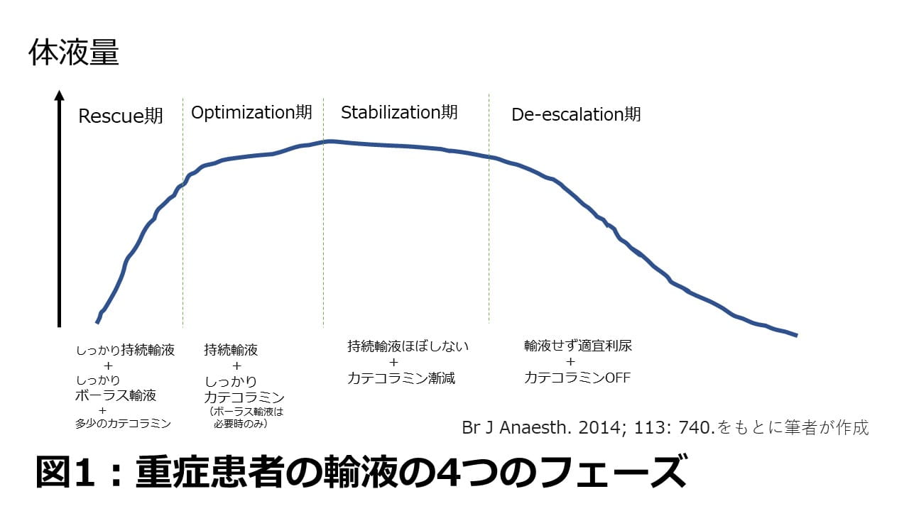 モデル美香も愛用！再生医療から生まれた「唇を育てる」発想の エテルナム リップセラム で本格ケア 公式 オトナミューズ ウェブ otona MUSE
