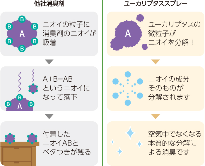 HEM ユーカリプタス - 薫りの専門店 tayuta