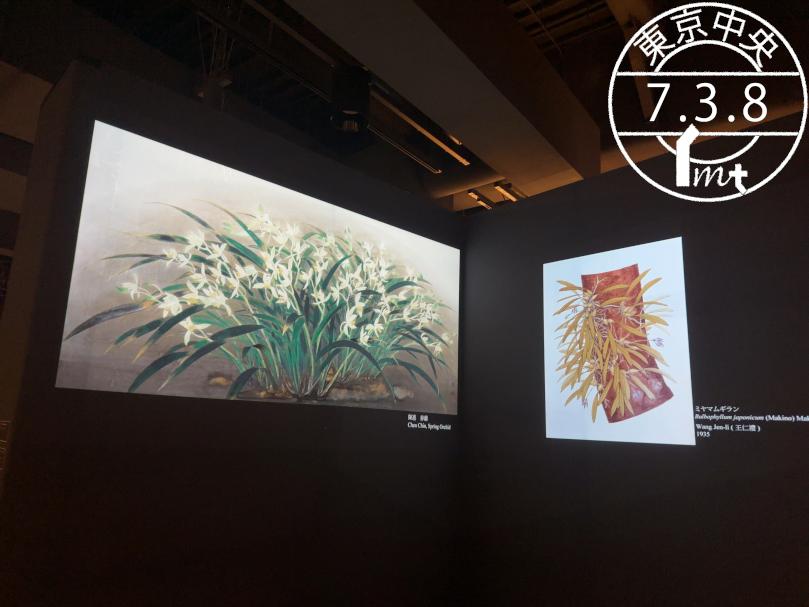 初めての人にもおすすめ！歩いてしか行けない秘湯 : 読売新聞