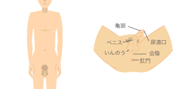 尖圭コンジローマ東京・性感染症内科銀座ヒカリクリニック