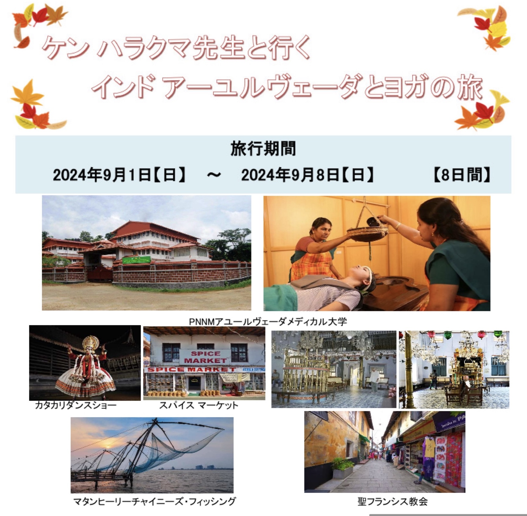 アーユルヴェーダ 南インド ハーブパウダー チュルナム マンジスタ フェイスパック Manjishta Choornam 35g : インド・アジア雑貨ティラキタ- 通販 - Yahoo!ショッピング