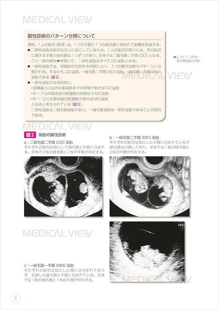 the YASUDA's web page