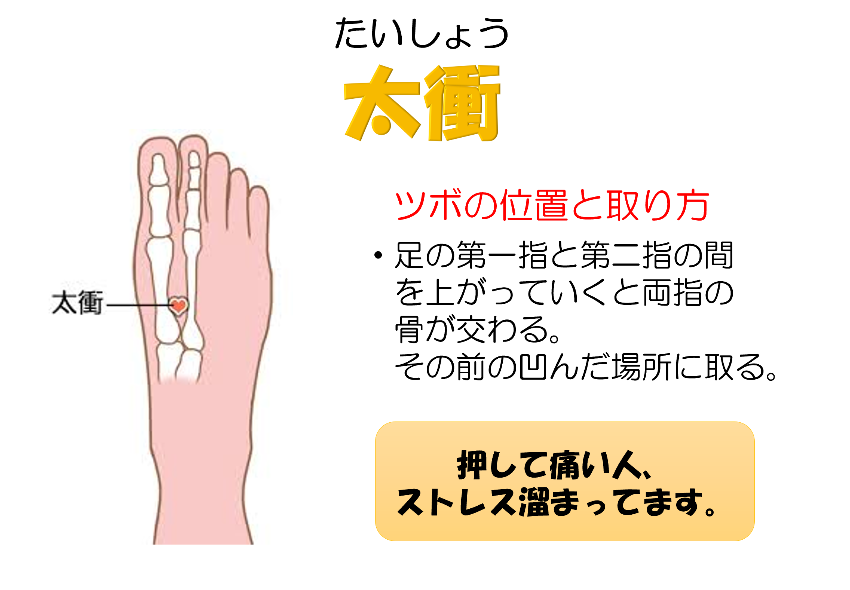 肝機能が弱ってる時に効くツボ 太衝ロータス鍼灸