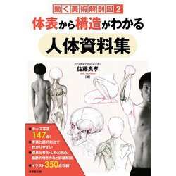 Pin on 人体構造イラスト