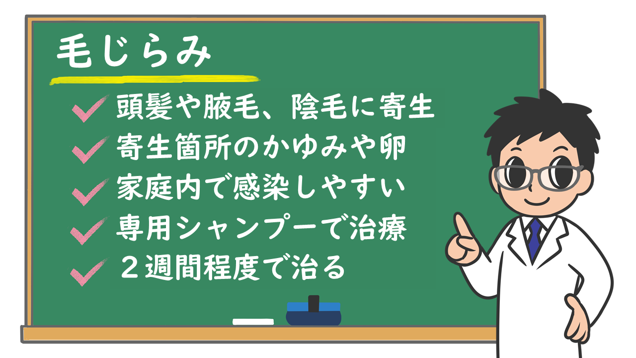 ケジラミ神戸市東灘区 摂津本山いしむら腎泌尿器科クリニック