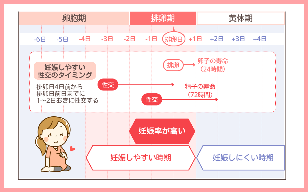 排卵日はいつ？一番妊娠しやすい日は排卵日何日前？婦人科ラボふたりの妊活マニュアル