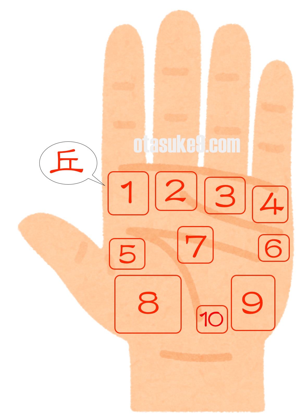 手相概要 仕事運