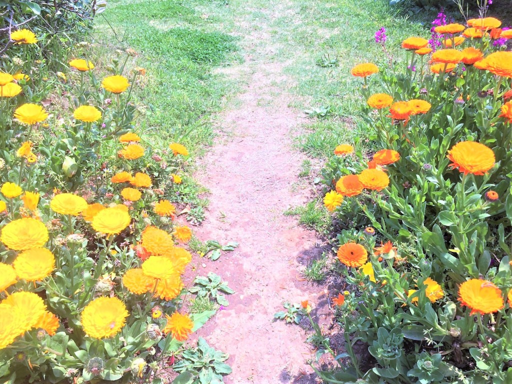 マリーゴールド有限会社 やまがたホケンセンタ