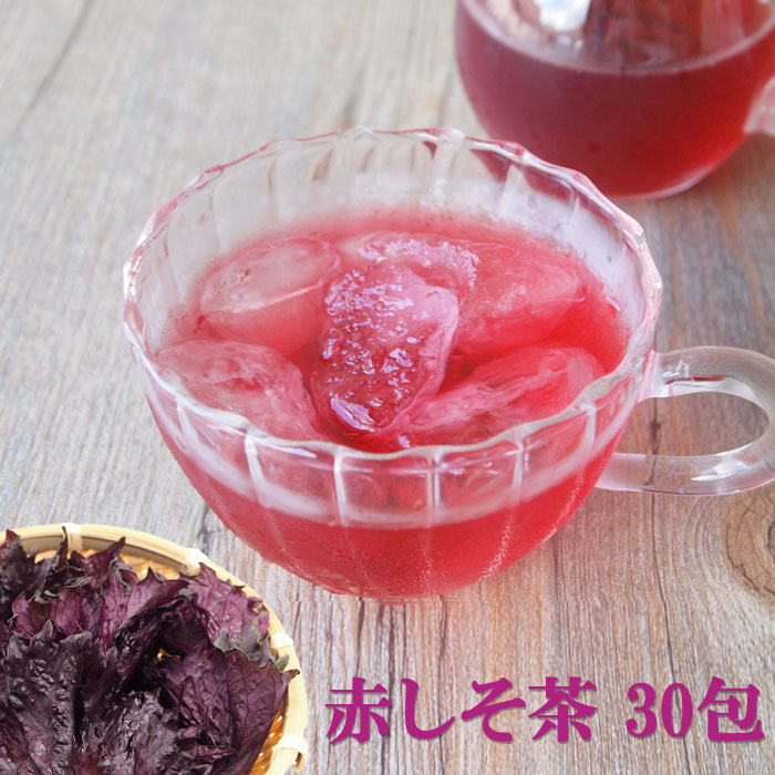 楽天市場 赤紫蘇 茶 効能の通販