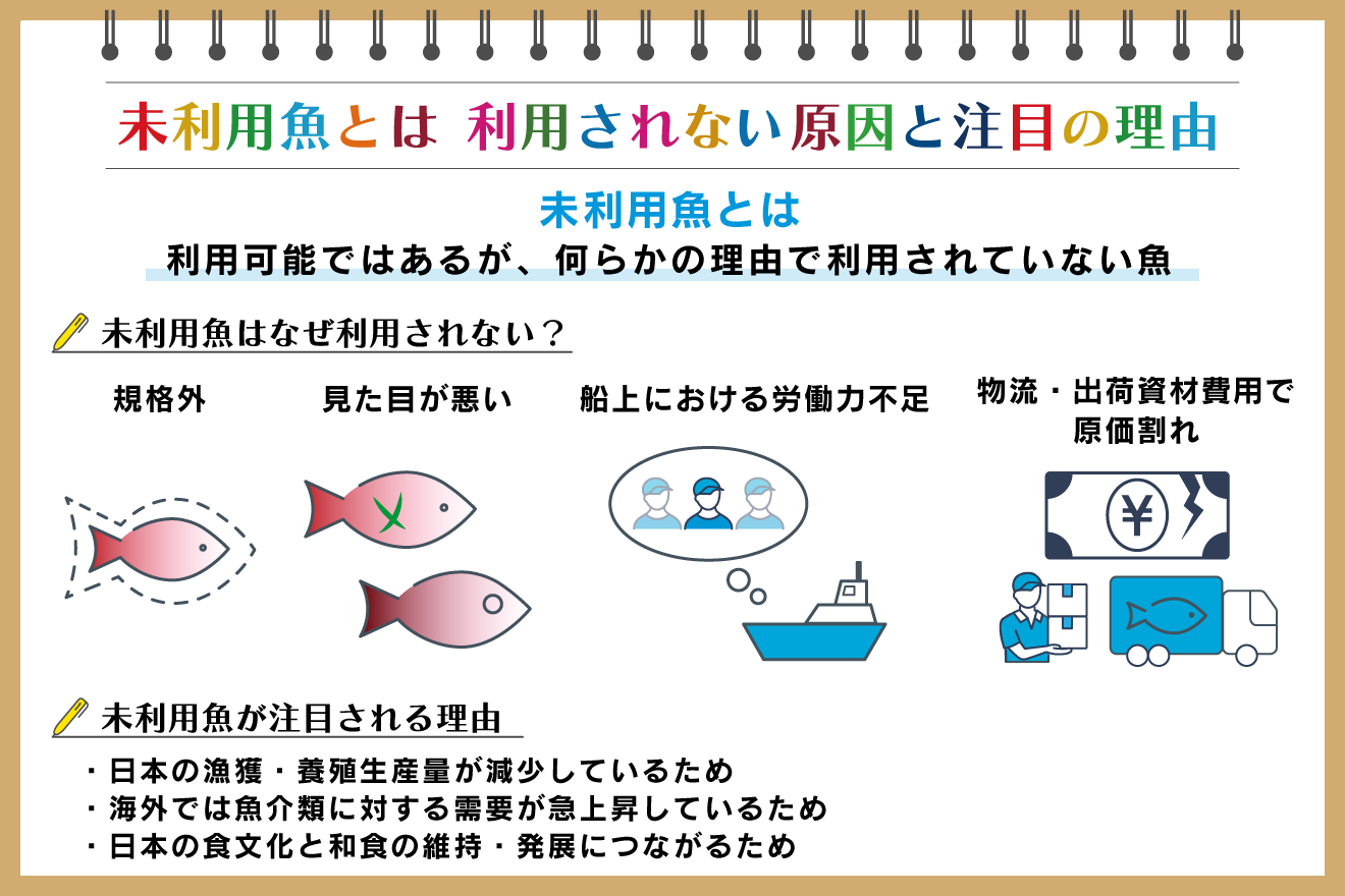 SDGs14海の豊かさを守ろう現状・課題と親子でできる5つのこと