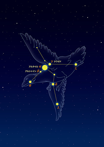 夏の星座 さそり座：なよろ市立天文台 きたすばる